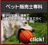 �y�b�g�̔��m���