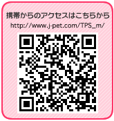�g�т���̃A�N�Z�X�͂����炩��