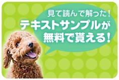 �e�L�X�g�T���v���������ŖႦ��I